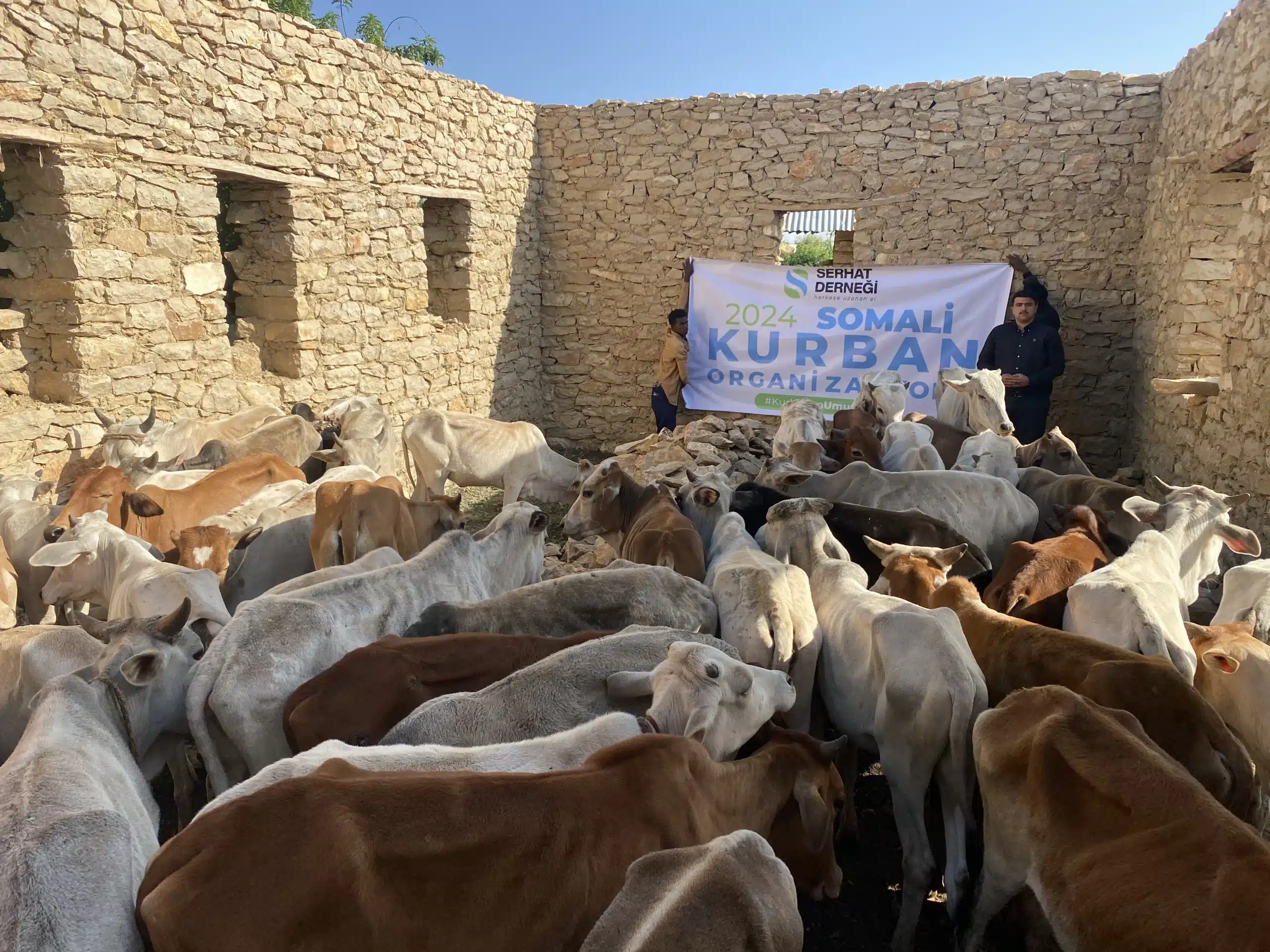 2024 Vacip Kurban Organizasyonumuz Tamamlanmıştır